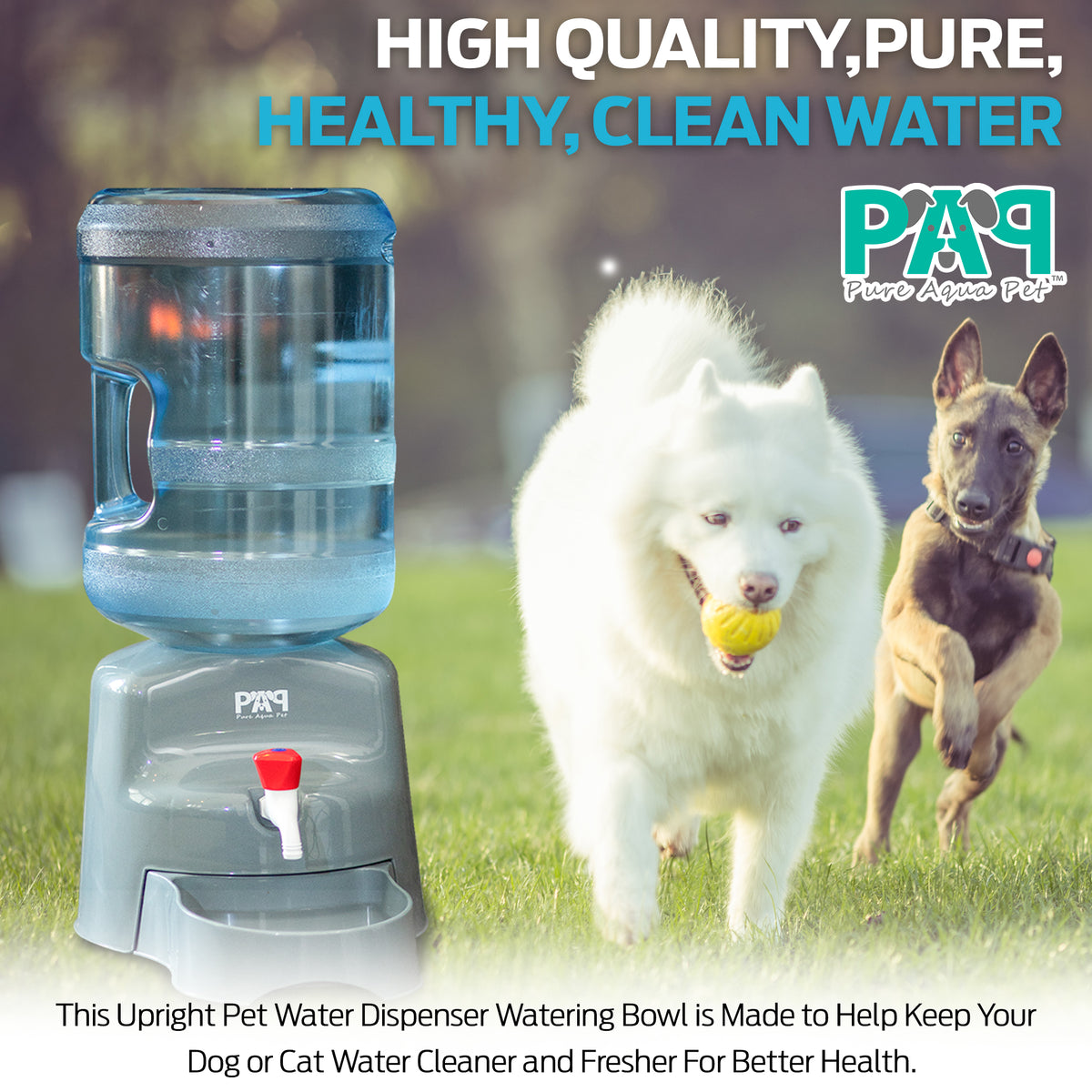 Pure Aqua Pet Gallon Water Dispenser for Dogs Cats – Pure