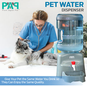 Autre PET / Bidon d'eau de 5 gallons 